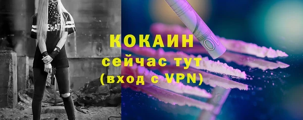 крисы Арсеньев