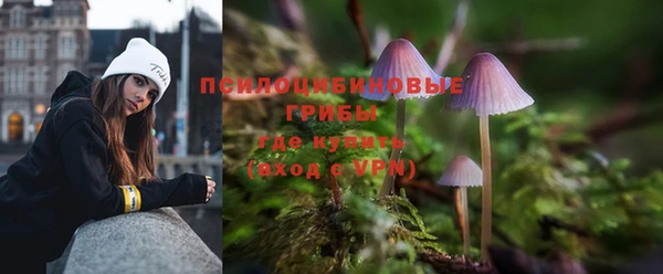 крисы Арсеньев