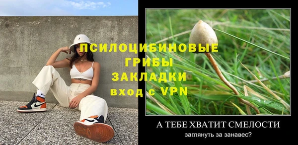 спайс Снежногорск