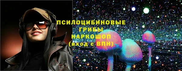 крисы Арсеньев
