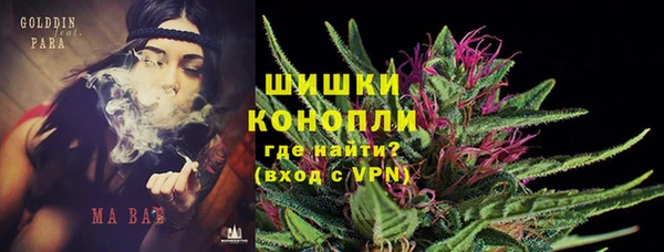 дмт Аркадак