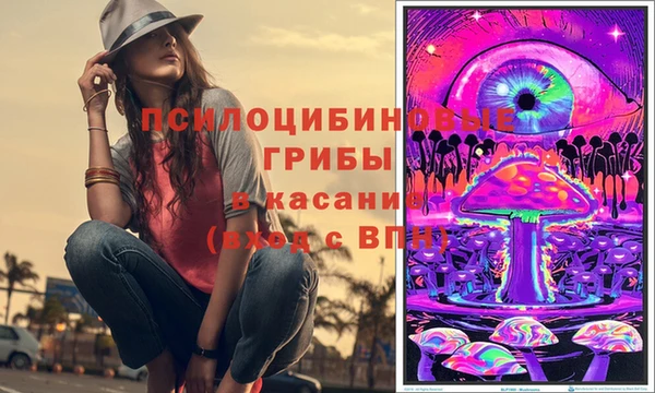 крисы Арсеньев